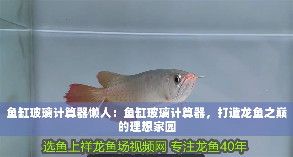 魚缸玻璃計(jì)算器懶人：魚缸玻璃計(jì)算器，打造龍魚之巔的理想家園
