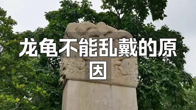 龍龜佩戴禁忌有哪些？ 龍龜佩戴禁忌有哪些？ 龍魚百科 第5張