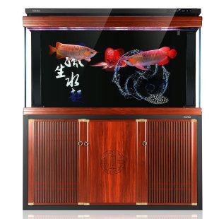 龍魚缸1.2米選靜音刷：1.2米龍魚缸選擇靜音刷的重要性及其對魚缸生態的影響