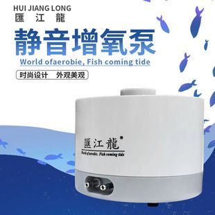龍魚缸1.2米選靜音刷：1.2米龍魚缸選擇靜音刷的重要性及其對魚缸生態的影響