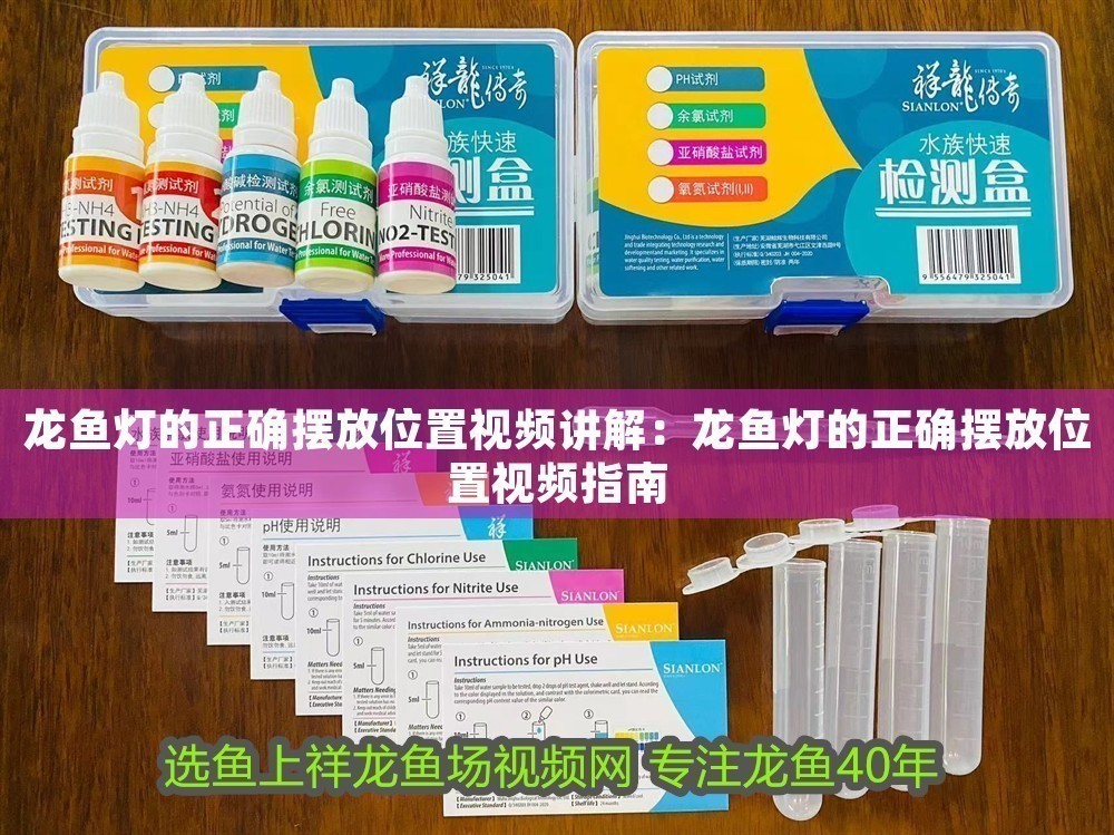 龍魚燈的正確擺放位置視頻講解：龍魚燈的正確擺放位置視頻指南