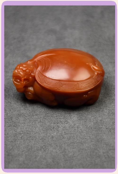 有沒有高清的龍龜壁紙？ 有沒有高清的龍龜壁紙？ 龍魚百科 第16張