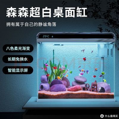 龍魚用什么燈光最好：龍魚燈光的選擇以及養殖技巧 龍魚用什么燈光最好：龍魚燈光的選擇以及養殖技巧 龍魚百科 第6張