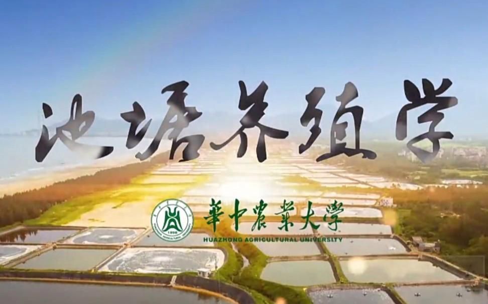 如何預防魚浮頭？