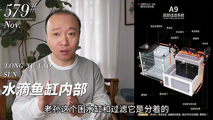 龍魚老孫前100號視頻在哪 龍魚老孫前100號視頻在哪 龍魚百科 第1張