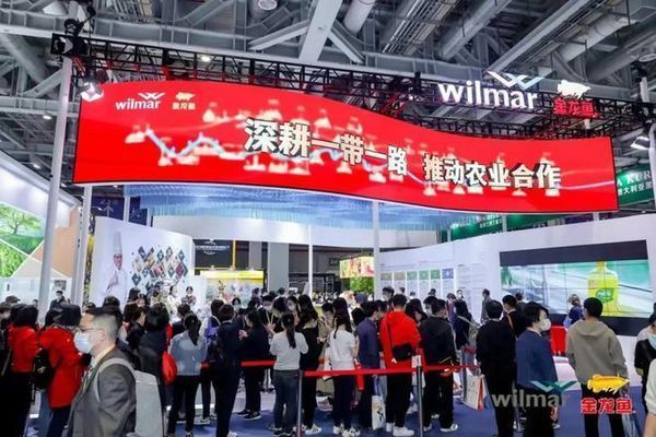 金龍魚500強企業排第幾（金龍魚及其母公司豐益國際在世界500強企業中的排名情況分析）