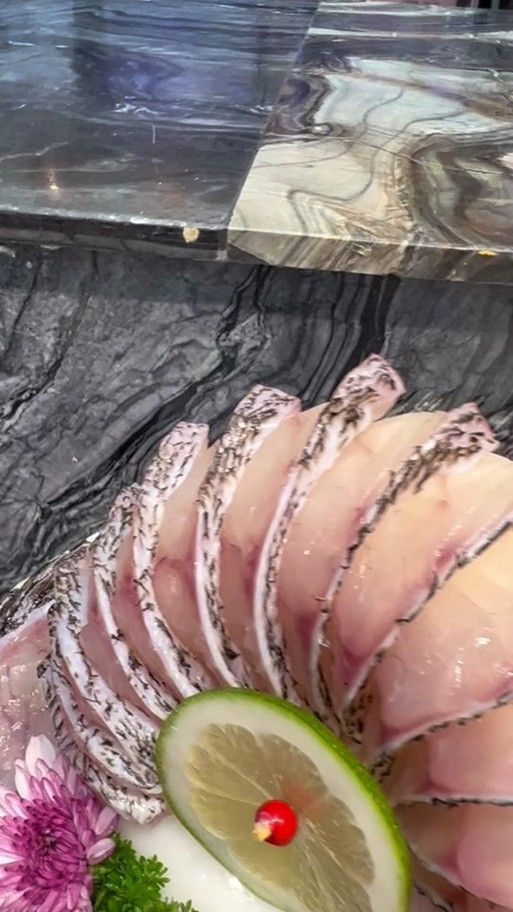 虎斑恐龍魚飼養方法視頻大全圖解 虎斑恐龍魚飼養方法視頻大全圖解 龍魚百科 第32張
