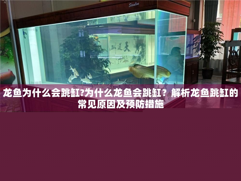 龍魚為什么會跳缸?為什么龍魚會跳缸？解析龍魚跳缸的常見原因及預防措施