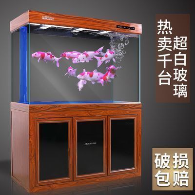 紅龍魚(yú)燈啥顏色好看點(diǎn)（紅龍魚(yú)燈光顏色的選擇應(yīng)考慮整體裝飾風(fēng)格和個(gè)人喜好） 紅龍魚(yú)燈啥顏色好看點(diǎn)（紅龍魚(yú)燈光顏色的選擇應(yīng)考慮整體裝飾風(fēng)格和個(gè)人喜好） 龍魚(yú)百科 第1張