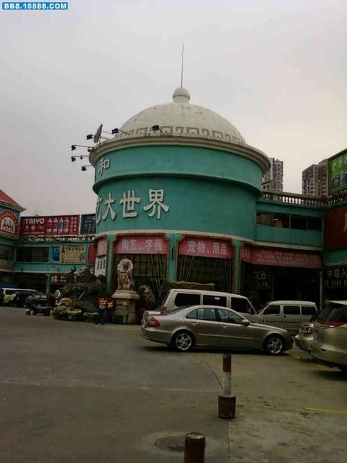 在廣州買(mǎi)龍魚(yú)的地方在哪里呀