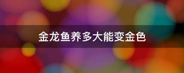 魚缸背景圖片100張高清無水印（高清魚缸背景圖片100張高清無水印）