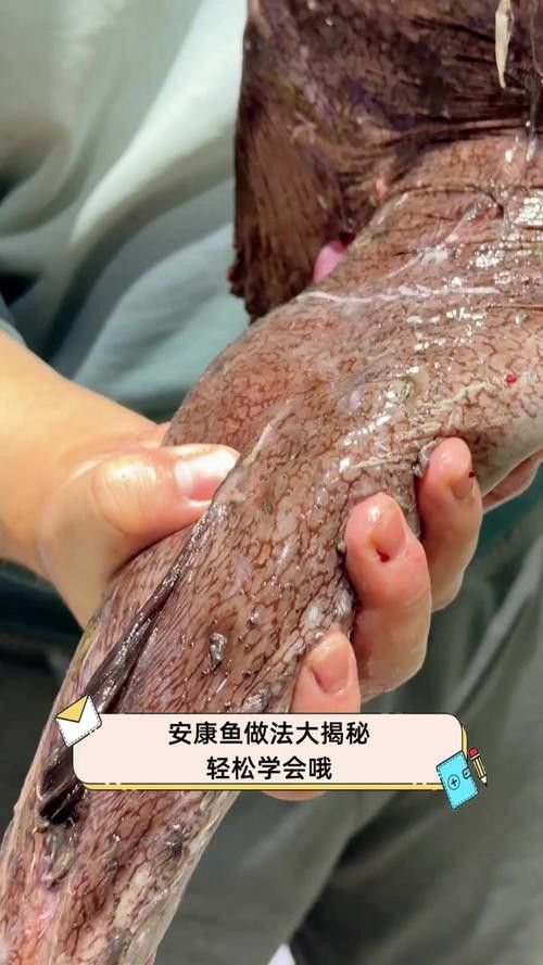安康龍魚(yú)專(zhuān)賣(mài)店 安康龍魚(yú)專(zhuān)賣(mài)店 龍魚(yú)百科 第4張