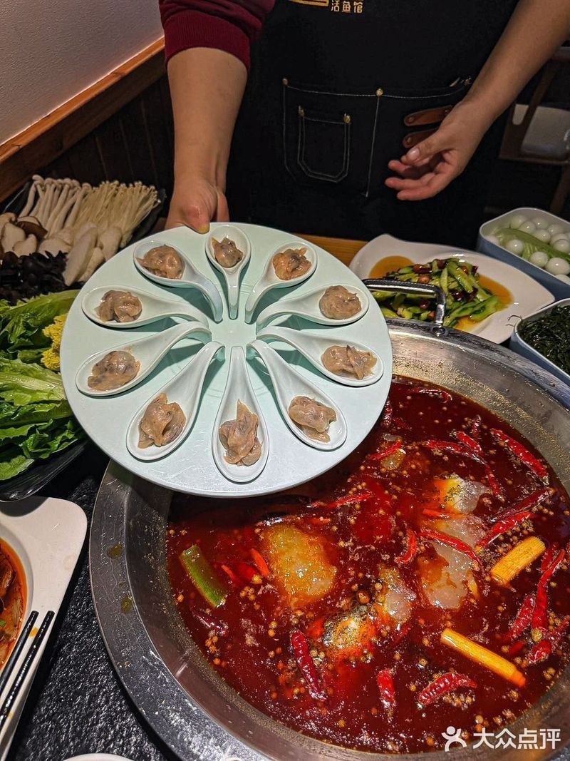安康龍魚(yú)專(zhuān)賣(mài)店 安康龍魚(yú)專(zhuān)賣(mài)店 龍魚(yú)百科 第10張