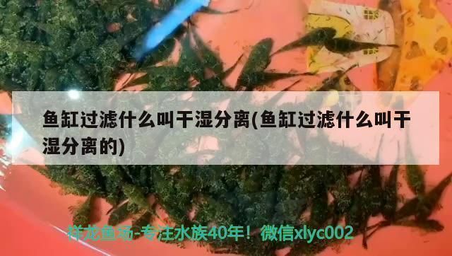 可麗愛魚缸換水流程圖視頻（如何自制魚缸換水流程圖）