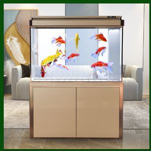 養龍魚什么背景好看又好養：養龍魚時背景的選擇