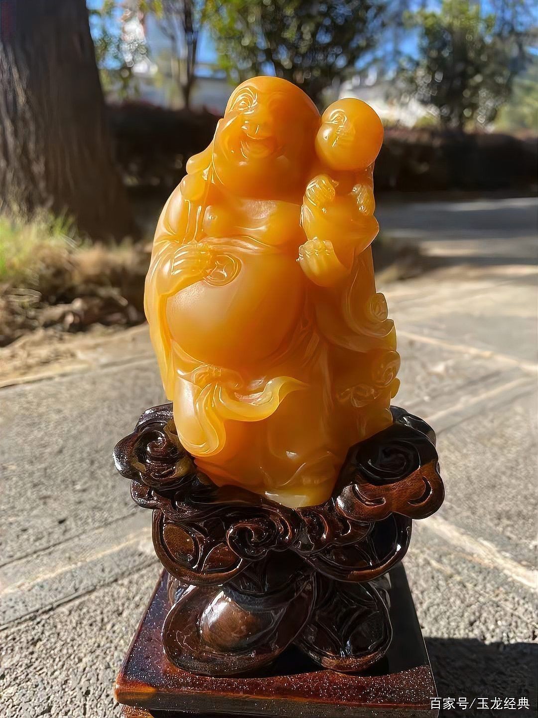 玉石金龍魚