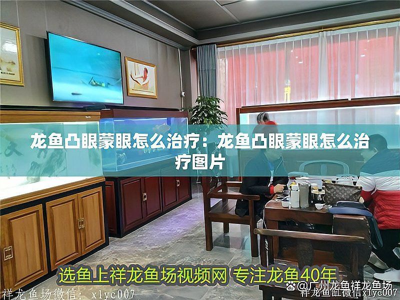 龍魚凸眼還有哪些治療方法? 龍魚百科 第2張 龍魚凸眼還有哪些治療方法? 龍魚凸眼還有哪些治療方法? 龍魚百科 第2張