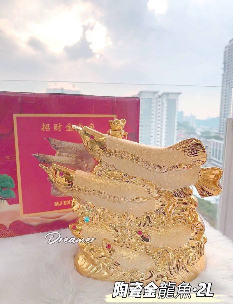 金龍魚五行屬什么
