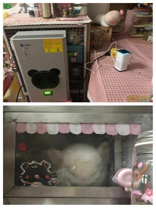 龍貓?jiān)诓煌竟?jié)如何調(diào)節(jié)溫度？