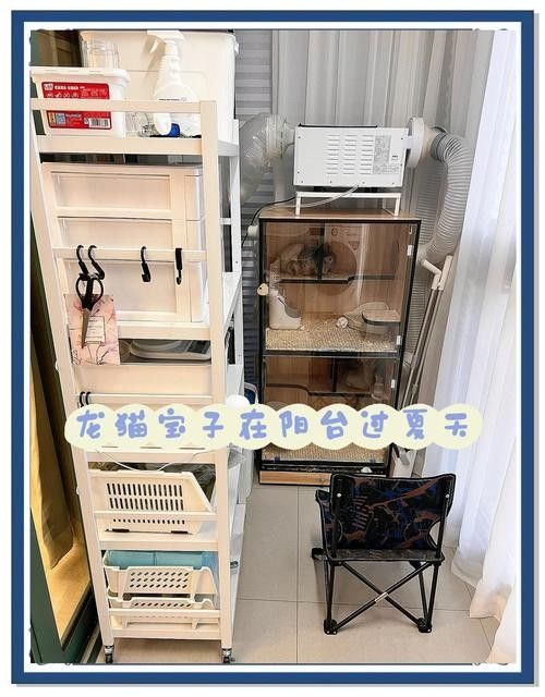 龍貓?jiān)诓煌竟?jié)如何調(diào)節(jié)溫度？