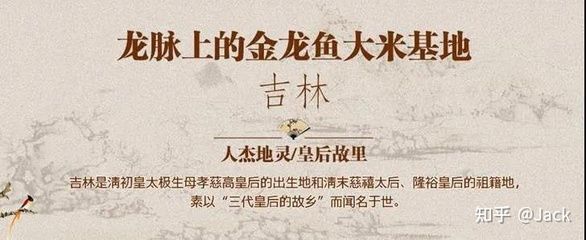 分析金龍魚品牌的內涵是什么：金龍魚品牌的內涵