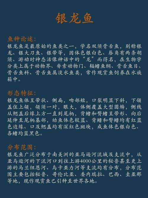 銀龍魚的價錢是多少錢