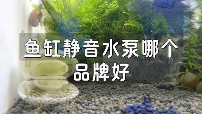 哪款魚缸過濾泵最靜音