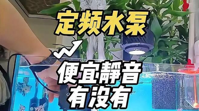 哪款魚缸過濾泵最靜音