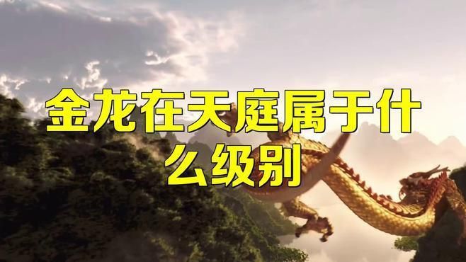 金龍和星點龍哪個檔次高