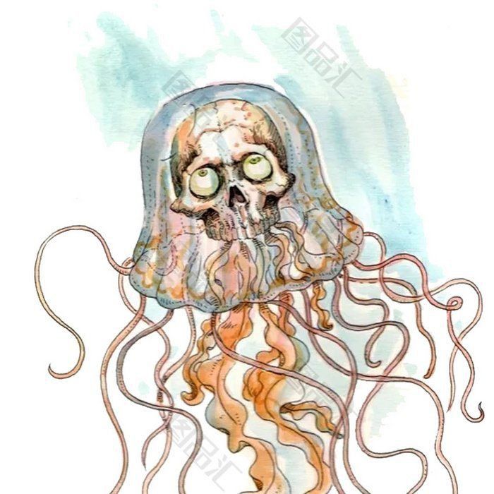 骷髏水母