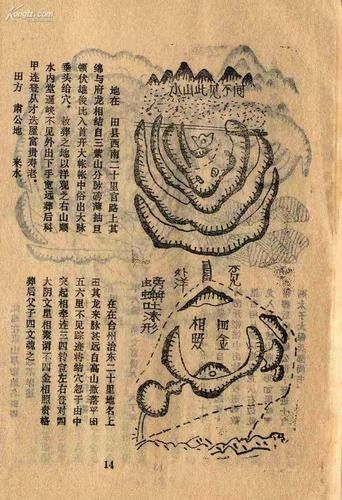 龍脈風水圖解有哪些實例? 龍魚百科 第13張 龍脈風水圖解有哪些實例? 龍脈風水圖解有哪些實例? 龍魚百科 第13張