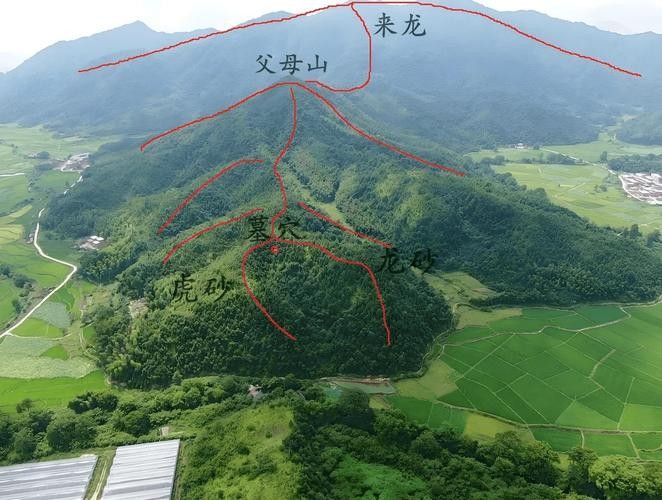 龍脈風水圖解有哪些實例? 龍魚百科 第3張 龍脈風水圖解有哪些實例? 龍脈風水圖解有哪些實例? 龍魚百科 第3張