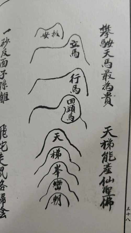 龍脈風水圖解有哪些實例? 龍魚百科 第24張 龍脈風水圖解有哪些實例? 龍脈風水圖解有哪些實例? 龍魚百科 第24張