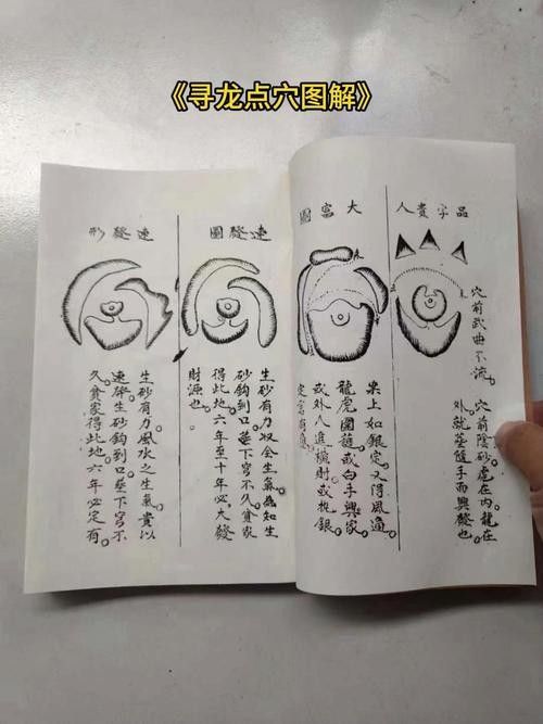龍脈風水圖解有哪些實例？ 龍脈風水圖解有哪些實例？ 龍魚百科 第25張