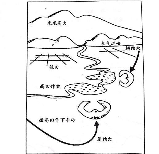 龍脈風水圖解有哪些實例? 龍魚百科 第17張 龍脈風水圖解有哪些實例? 龍脈風水圖解有哪些實例? 龍魚百科 第17張