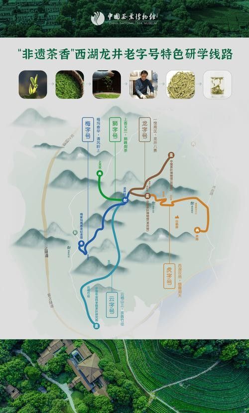 龍脈風水圖解有哪些實例? 龍魚百科 第44張 龍脈風水圖解有哪些實例? 龍脈風水圖解有哪些實例? 龍魚百科 第44張