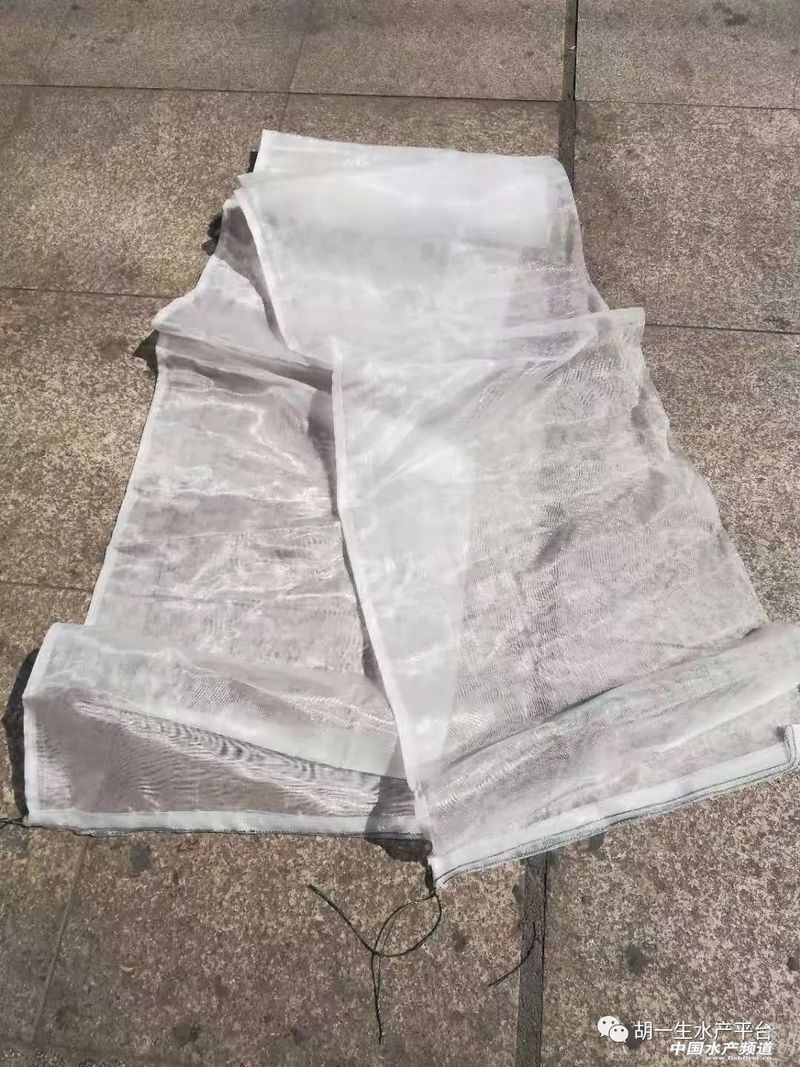 小火龍魚有哪些天敵？