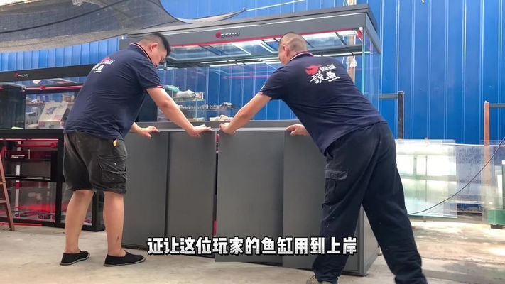 龍魚缸和普通魚缸有區別嗎？：龍魚缸與普通魚缸的區別 龍魚缸和普通魚缸有區別嗎？：龍魚缸與普通魚缸的區別 龍魚百科 第3張