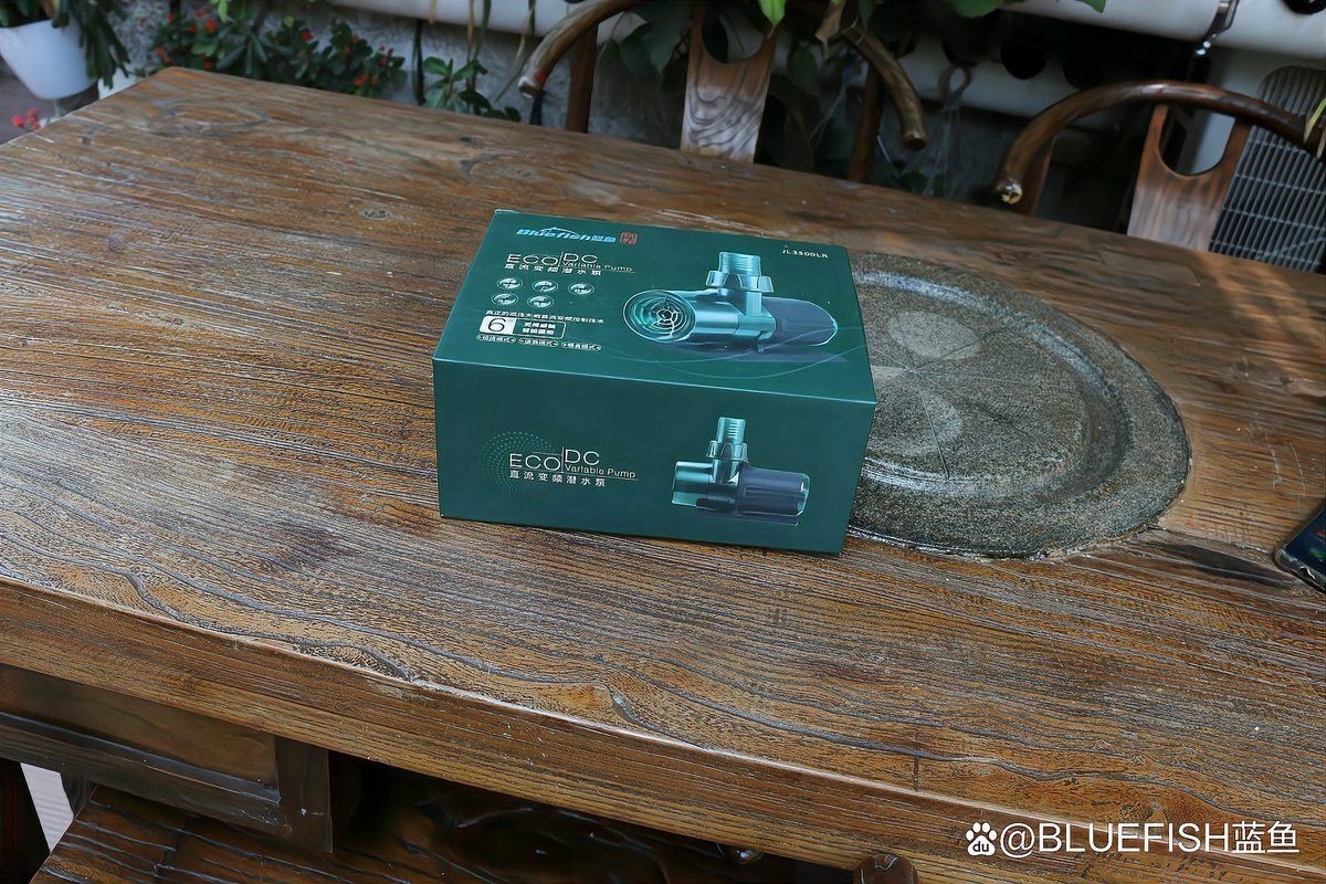 白缸養(yǎng)龍魚 白缸養(yǎng)龍魚 龍魚百科 第3張