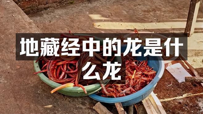 還有哪些宗教中龍具有特殊意義？