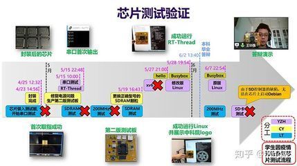 龍魚(yú)身上的芯片怎么驗(yàn)證：如何辨別龍魚(yú)芯片真?zhèn)? title=