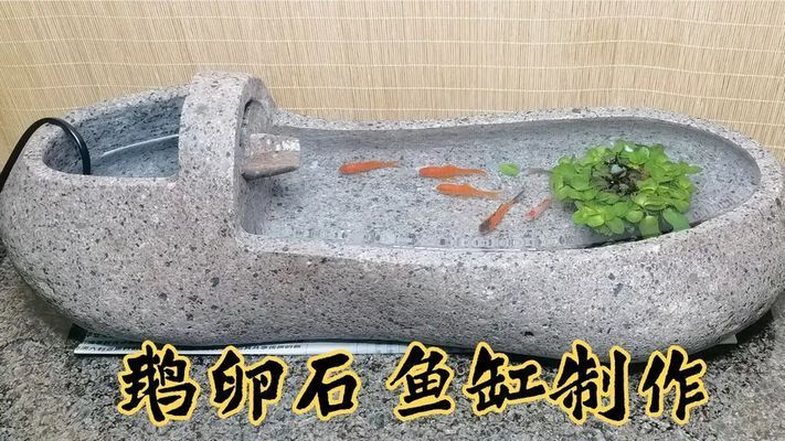 紅龍魚的好處與壞處有哪些圖片（紅龍魚的好處與壞處有哪些圖片大全）