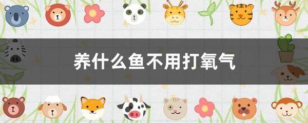 雷龍魚繁殖期間溫度控制:雷龍魚繁殖期水溫控制 龍魚百科 第3張 雷龍魚繁殖期間溫度控制:雷龍魚繁殖期水溫控制 雷龍魚繁殖期間溫度控制:雷龍魚繁殖期水溫控制 龍魚百科 第3張