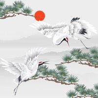 龍龜放魚缸里不吉利嗎 龍龜放魚缸里不吉利嗎 龍魚百科 第4張