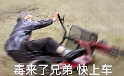 吃金龍魚圖片大全搞笑 吃金龍魚圖片大全搞笑 龍魚百科 第28張