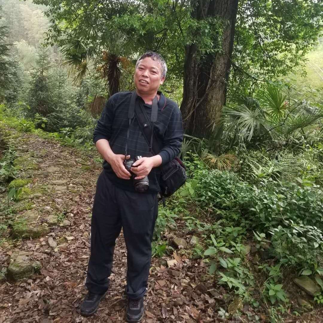 錦鯉養幾條最吉利 錦鯉養幾條最吉利 龍魚百科 第13張