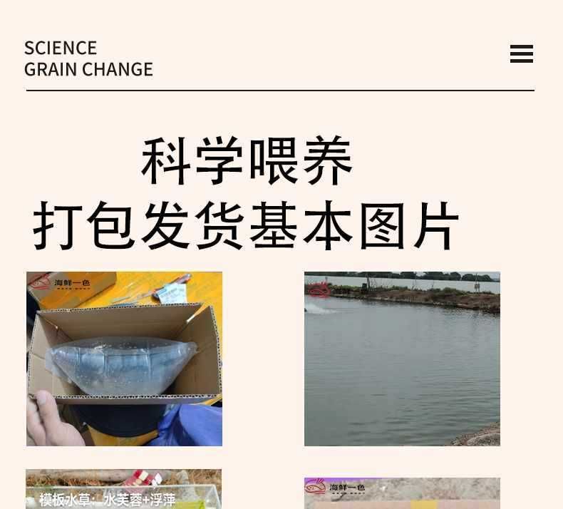 龍魚怎么打包發貨的：龍魚在發貨過程中的包裝與打包技巧 龍魚怎么打包發貨的：龍魚在發貨過程中的包裝與打包技巧 龍魚百科 第4張