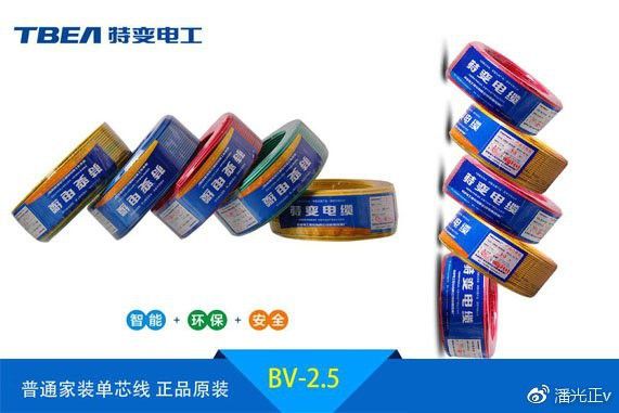 金龍魚電線 金龍魚電線 龍魚百科 第8張