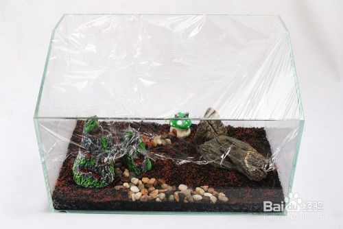 水草魚缸造景教程圖片（水草魚缸造景布局設(shè)計）