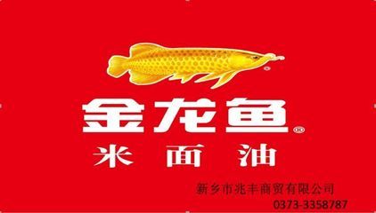 紅龍魚肚子朝上是什么原因（紅龍魚肚子鼓個包怎么回事）